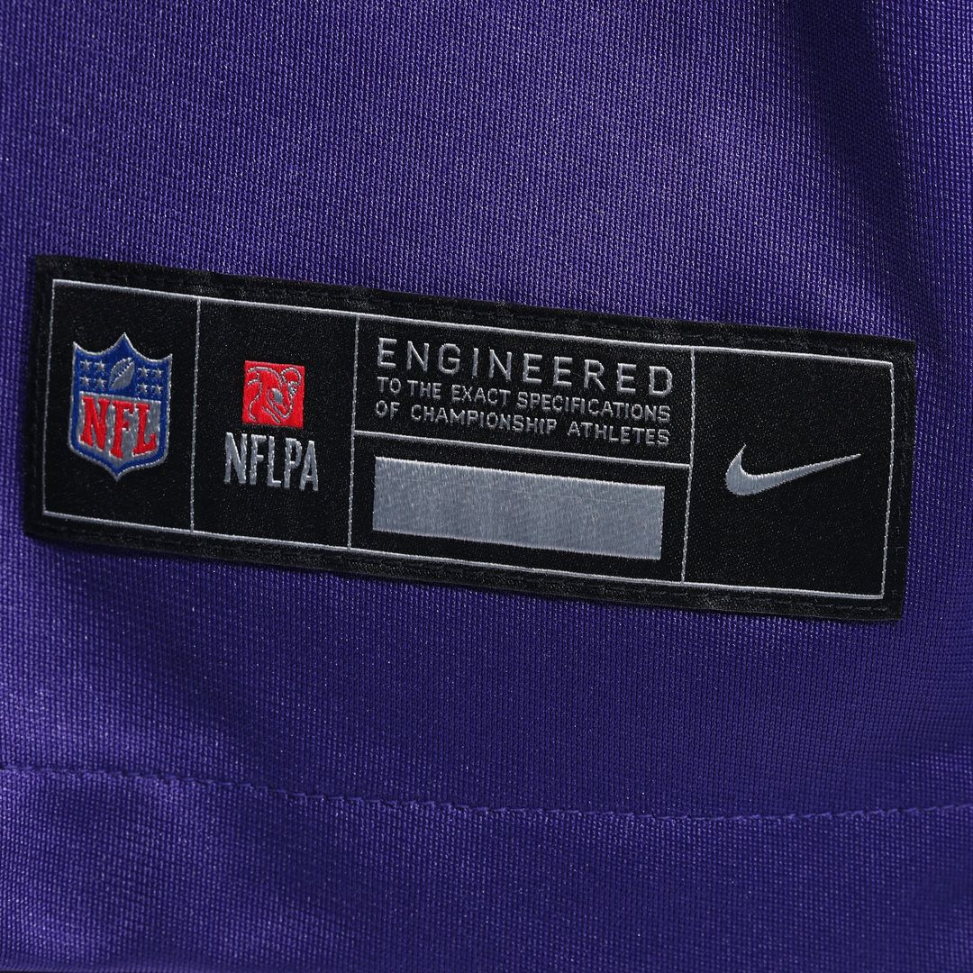 Minnesota Vikings Andrew DePaola Nike Game Jersey - Purple